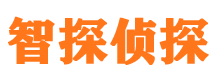 安龙侦探社